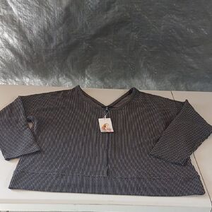 Pretty Garden Stripped Black and Gray‎  V-Neck Top